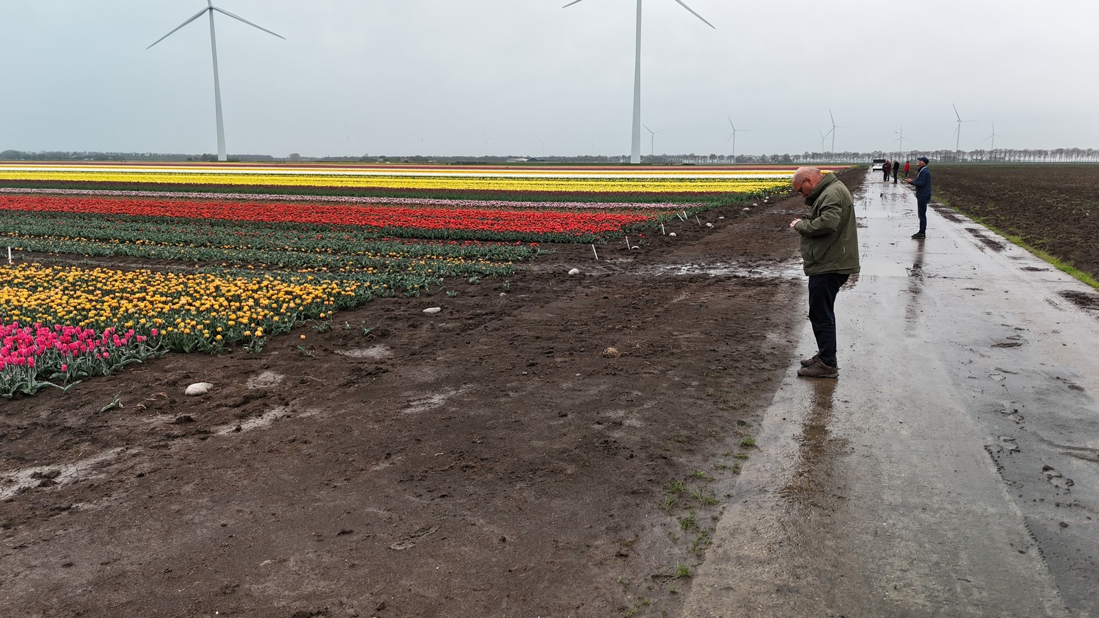 211001 Vliegmiddag Scharwoude IJsselmeerdijk bij De Hulk zaterdag 19 april 2025