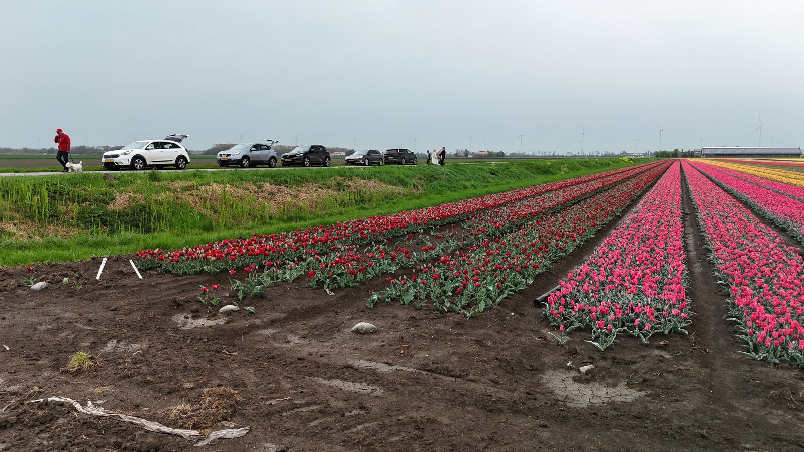 211003 Vliegmiddag Scharwoude IJsselmeerdijk bij De Hulk zaterdag 19 april 2025