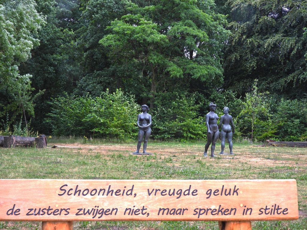 DSCN 12 1560B
